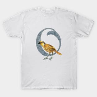 Avian Alphabet O - Brown tanager T-Shirt